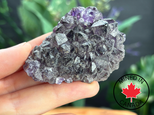 Thunder Bay Amethyst Crystal Cluster (P) - The Wandering Fox Emporium, Your Crystal Store