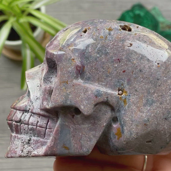 Ocean Jasper Crystal Skull .55kg - The Wandering Fox Emporium, Your Metaphysical Store video