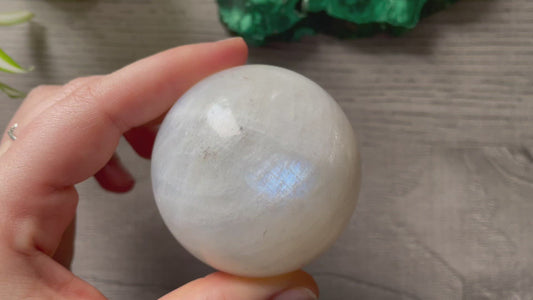 High-Grade White Moonstone Sphere 60mm - The Wandering Fox Emporium, Your Crystal Store video