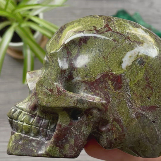 Dragon Bloodstone Crystal Skull .9kg - The Wandering Fox Emporium, Your Metaphysical Store video