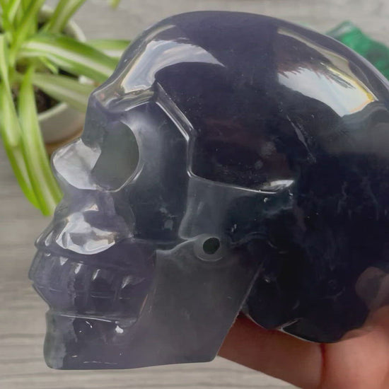 Purple/Green Fluorite Crystal Skull (1kg) - The Wandering Fox Emporium, Your Metaphysical Store video