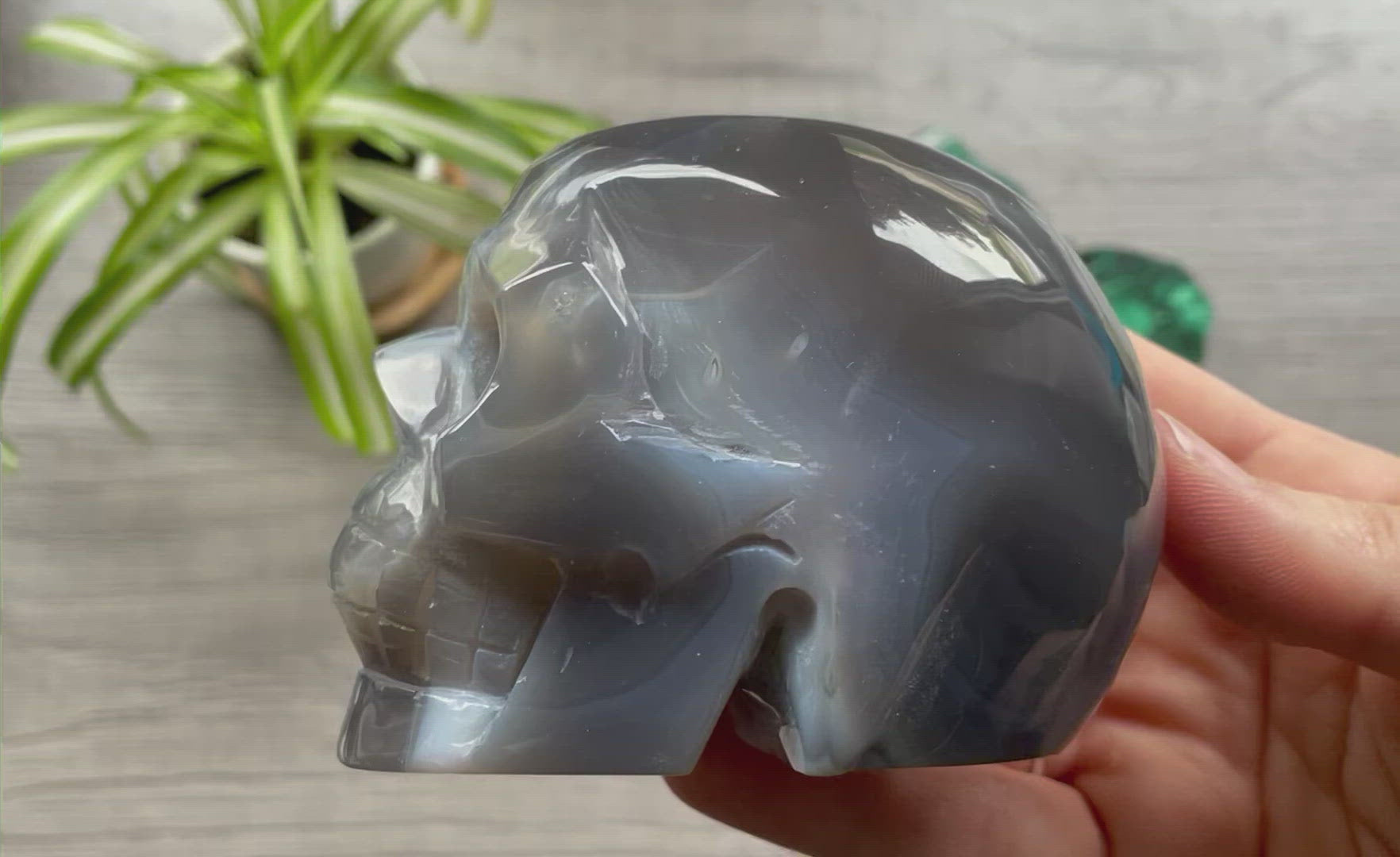 Natural Agate Crystal Skull (.55kg) - The Wandering Fox Emporium, Your Metaphysical Store video