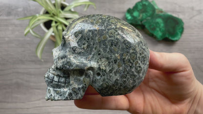 Kambaba Jasper Crystal Skull .55kg - The Wandering Fox Emporium, Your Metaphysical Store video