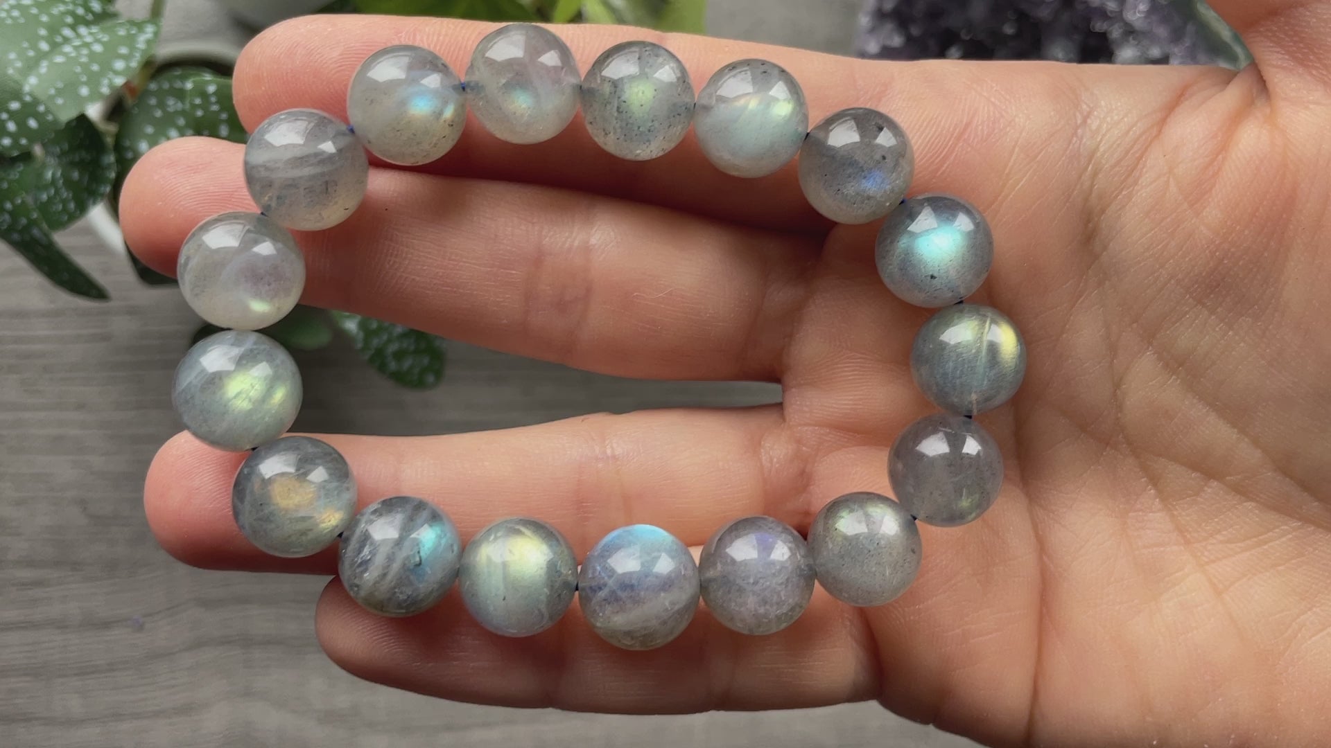 High Quality Labradorite Bracelet 12mm (A) - The Wandering Fox Emporium, Your Crystal Store video