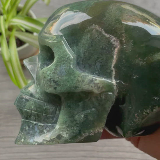 Moss Agate Crystal Skull with Druzy (1.3kg) - The Wandering Fox Emporium, Your Metaphysical Store video
