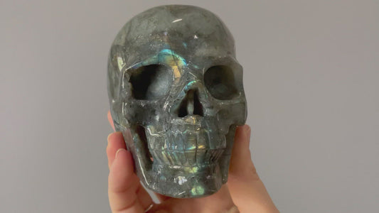 Labradorite Crystal Skull 1.15kg (Purple Rainbow) - The Wandering Fox Emporium, Your Metaphysical Store video