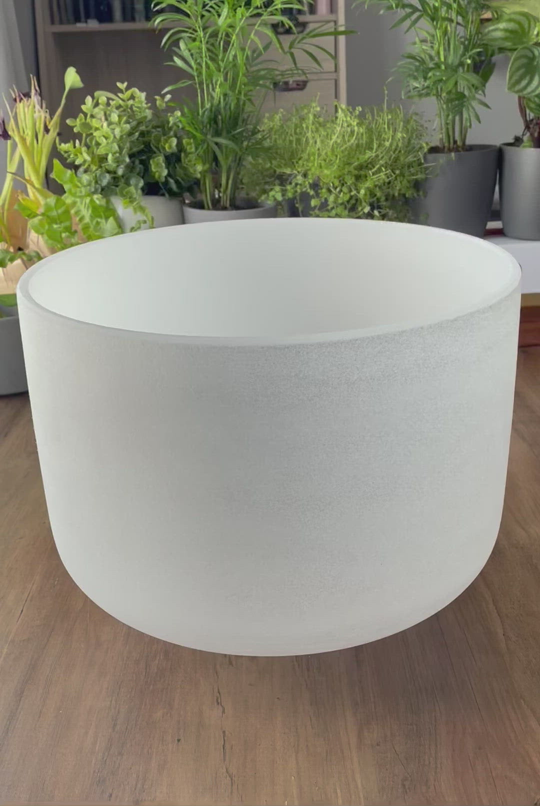  A photo of a quartz crystal singing bowl and a mallet on a wooden surface. The crystal singing bowl is made of clear quartz and has a smooth, round shape. 13" Crystal Singing Bowl (Frosted White) C4 video