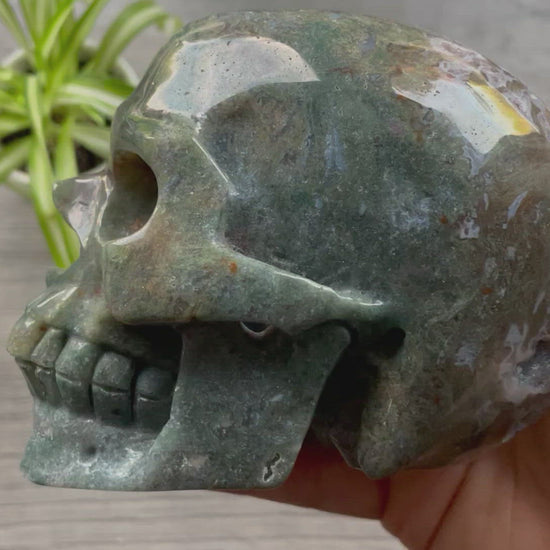 Moss Agate Crystal Skull (1.15kg) - The Wandering Fox Emporium, Your Metaphysical Store video