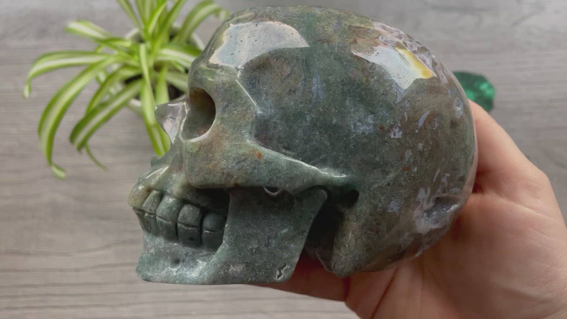 Moss Agate Crystal Skull (1.15kg) - The Wandering Fox Emporium, Your Metaphysical Store video