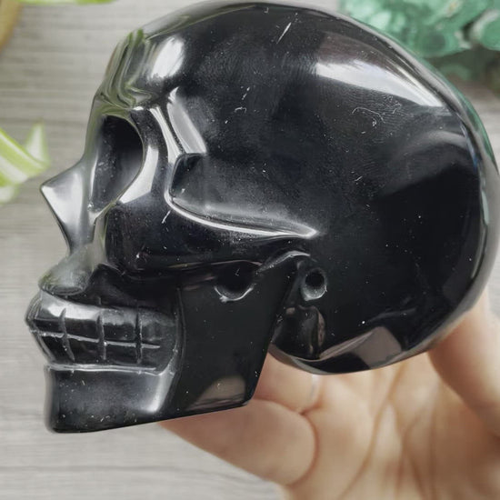 Black Obsidian Crystal Skull .5kg - The Wandering Fox Emporium, Your Metaphysical Store video