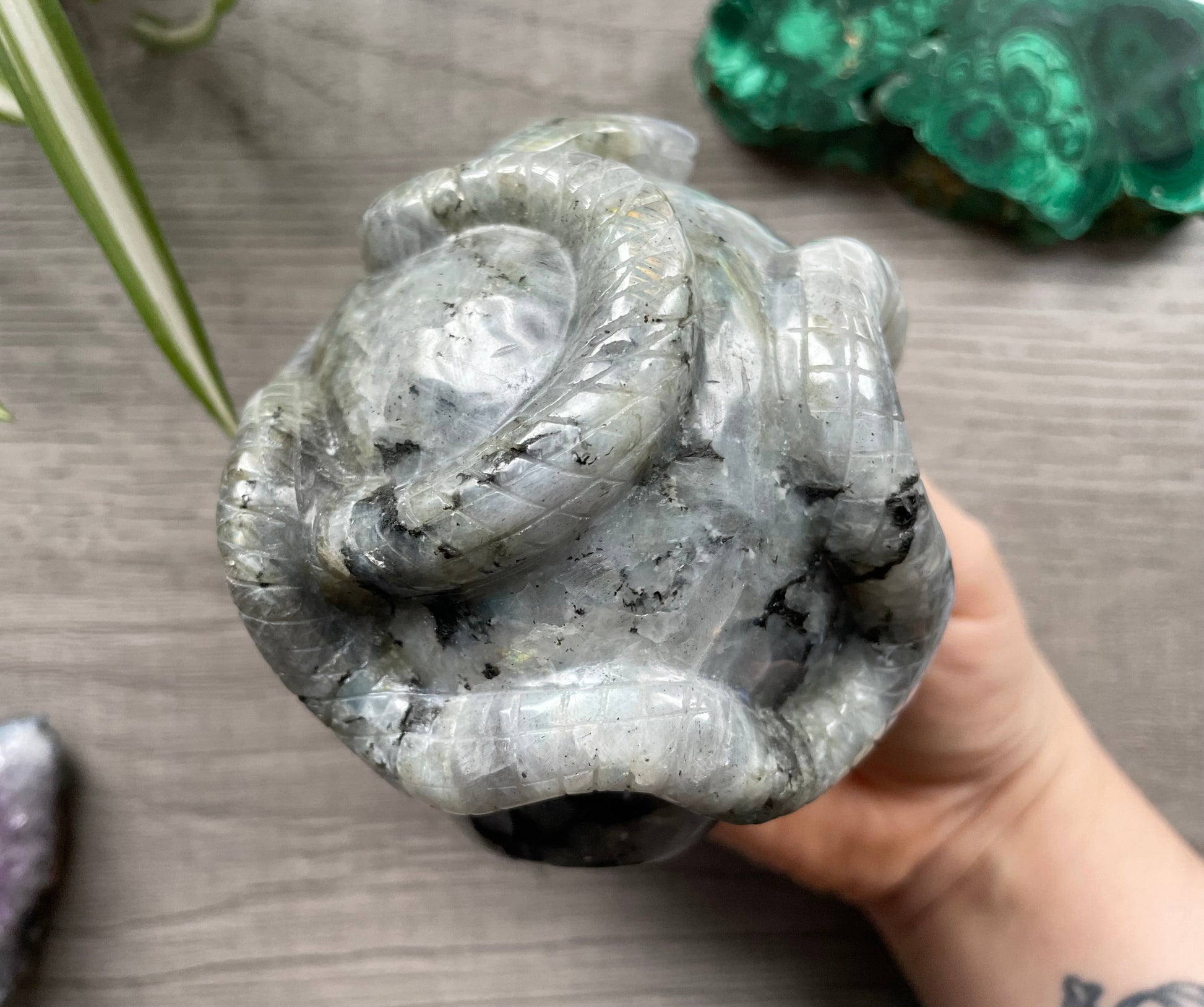 Labradorite Skull with Snakes 1kg - The Wandering Fox Emporium, Your Crystal Store back