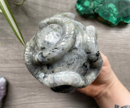 Labradorite Skull with Snakes 1kg - The Wandering Fox Emporium, Your Crystal Store back