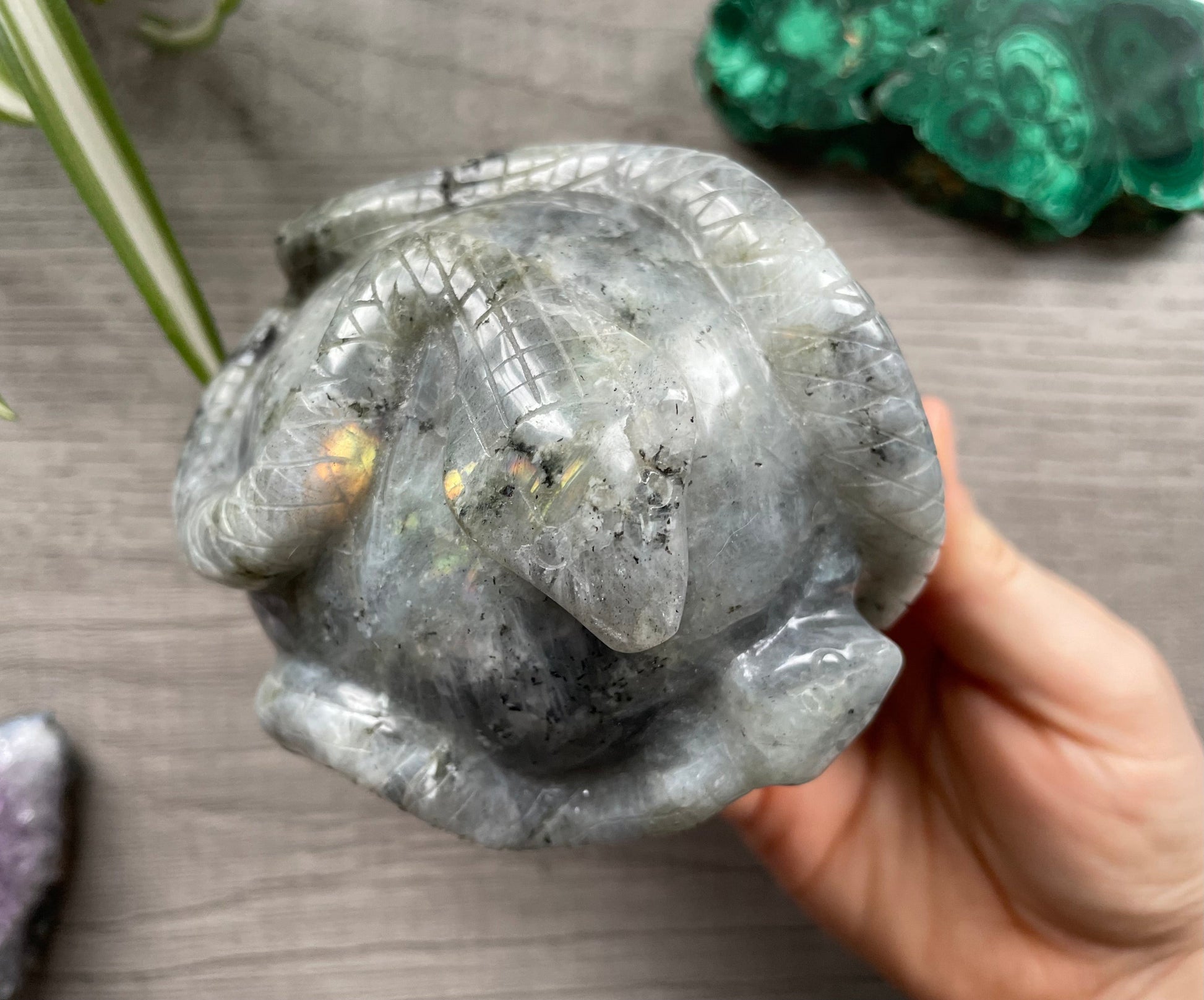 Labradorite Skull with Snakes 1kg - The Wandering Fox Emporium, Your Crystal Store top