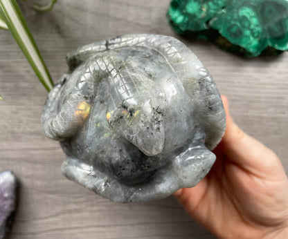 Labradorite Skull with Snakes 1kg - The Wandering Fox Emporium, Your Crystal Store top