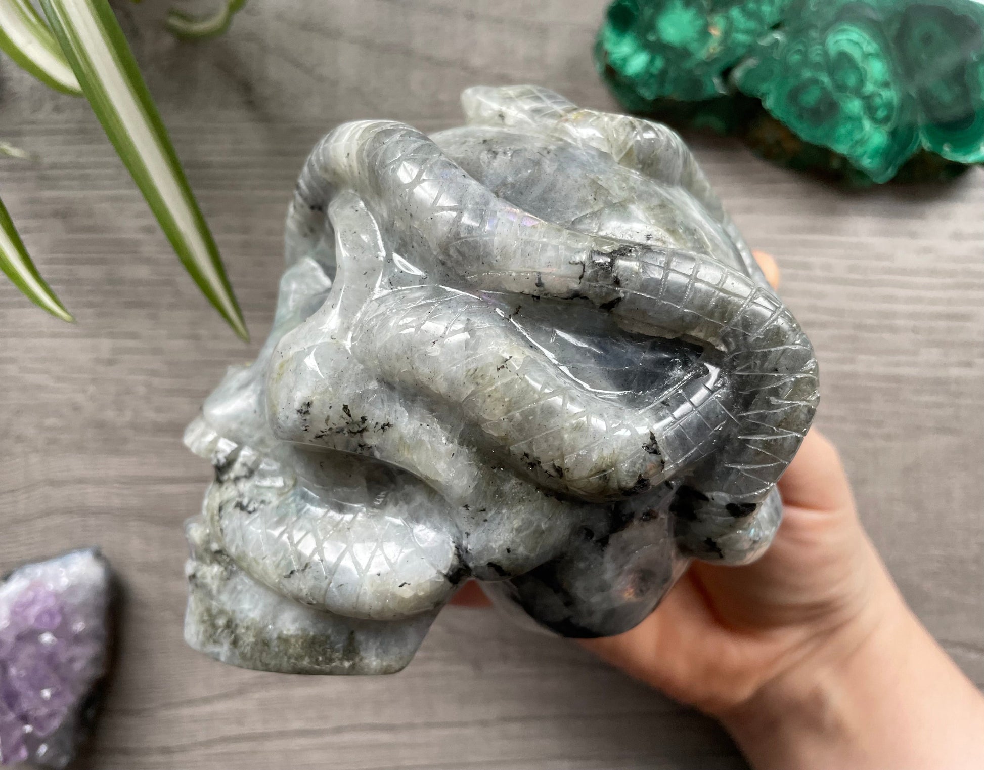 Pictured is a large skull carved out of labradorite with a carved Labradorite Skull with Snakes 1kg - The Wandering Fox Emporium, Your Crystal Store leftwrapped around it.