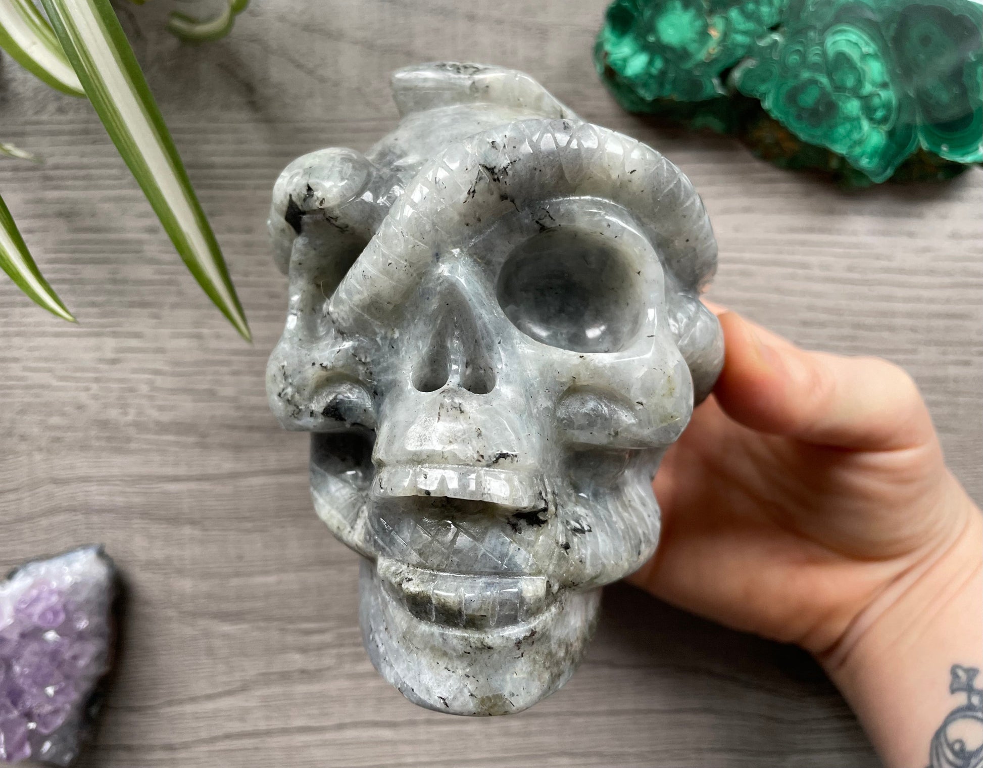 Labradorite Skull with Snakes 1kg - The Wandering Fox Emporium, Your Crystal Store
