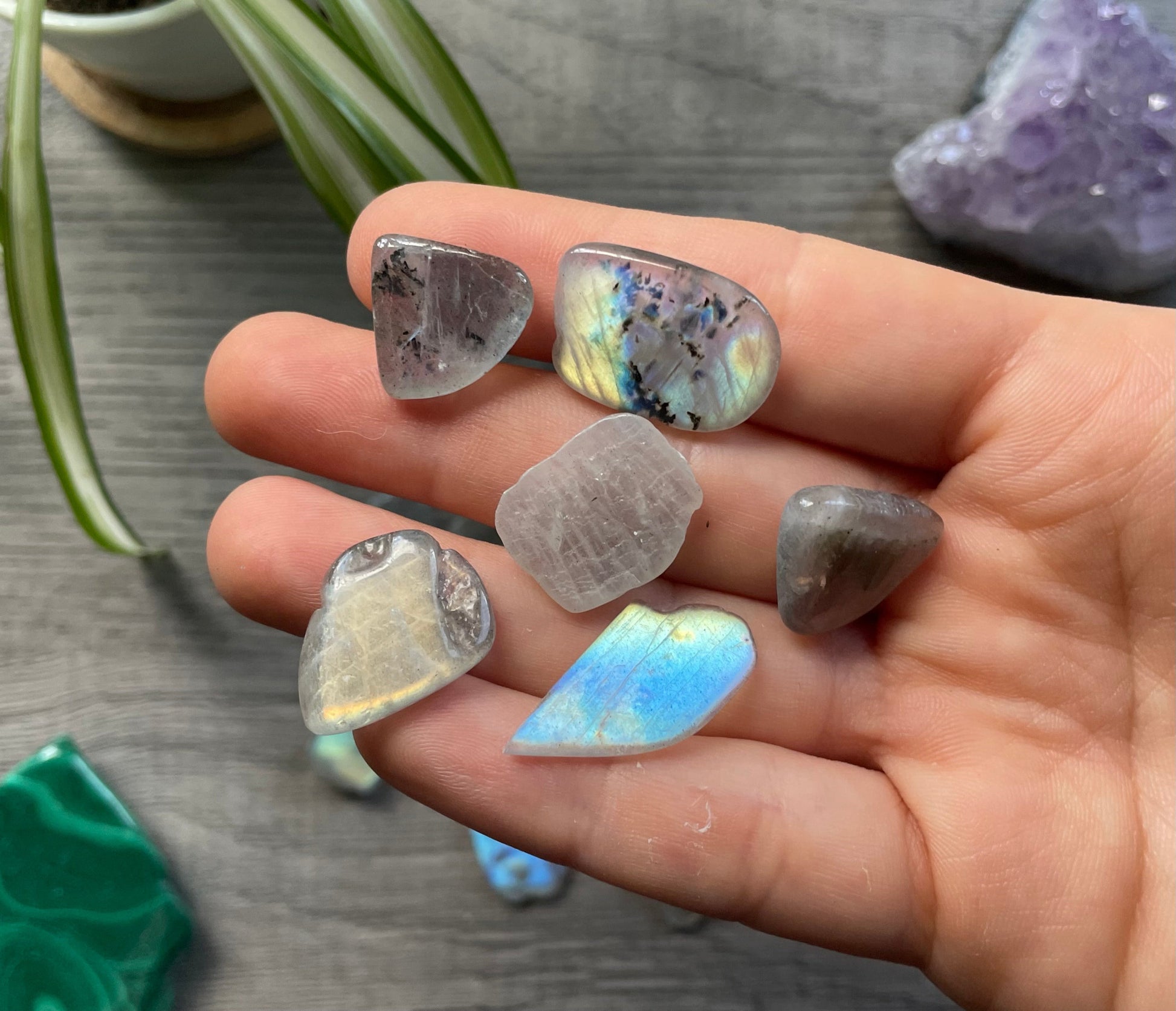 Pictured are various labradorite tumbled stones. Labradorite Crystal Chips 25g