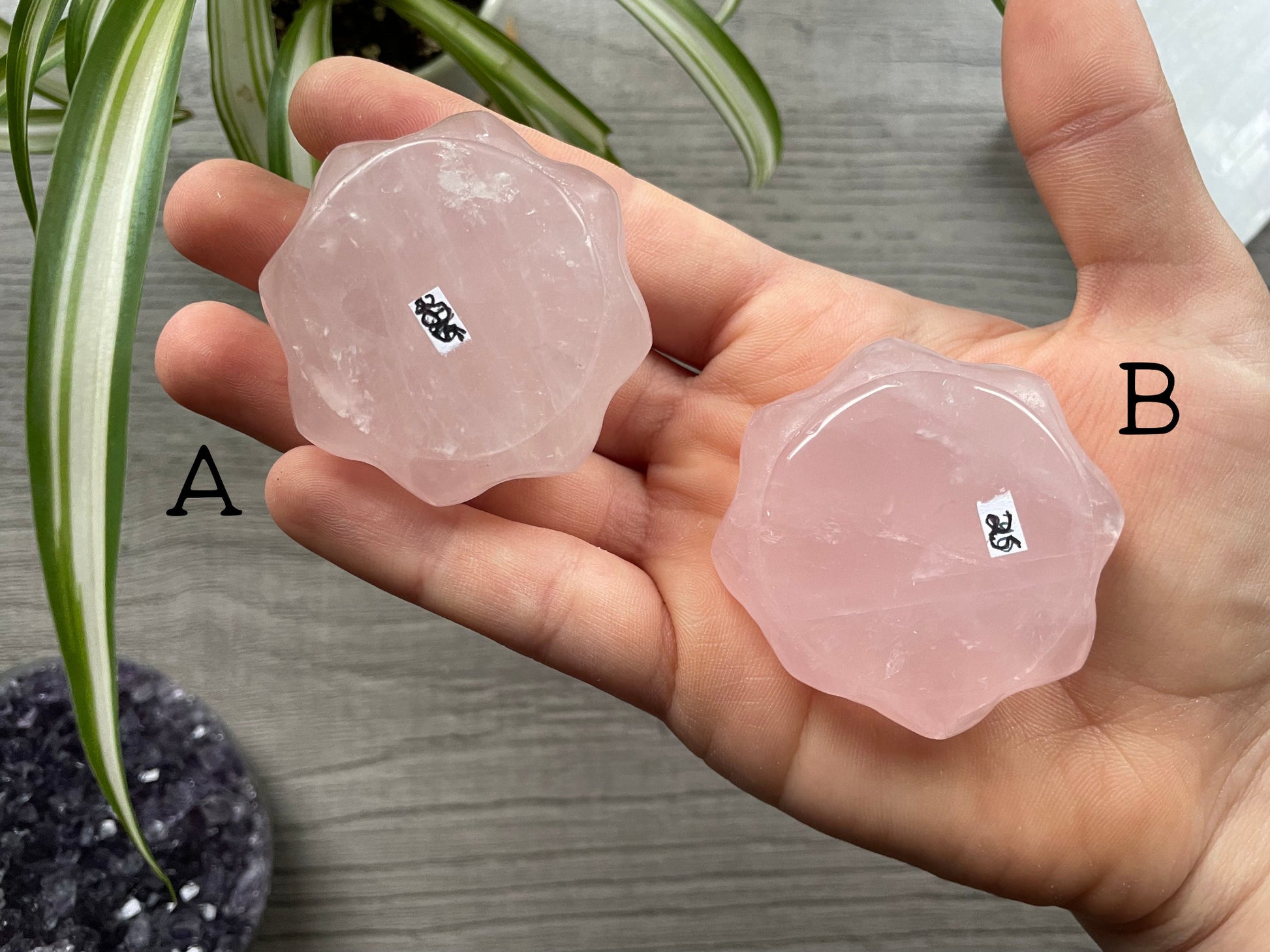 Rose Quartz Lotus Crystal Carving bottom