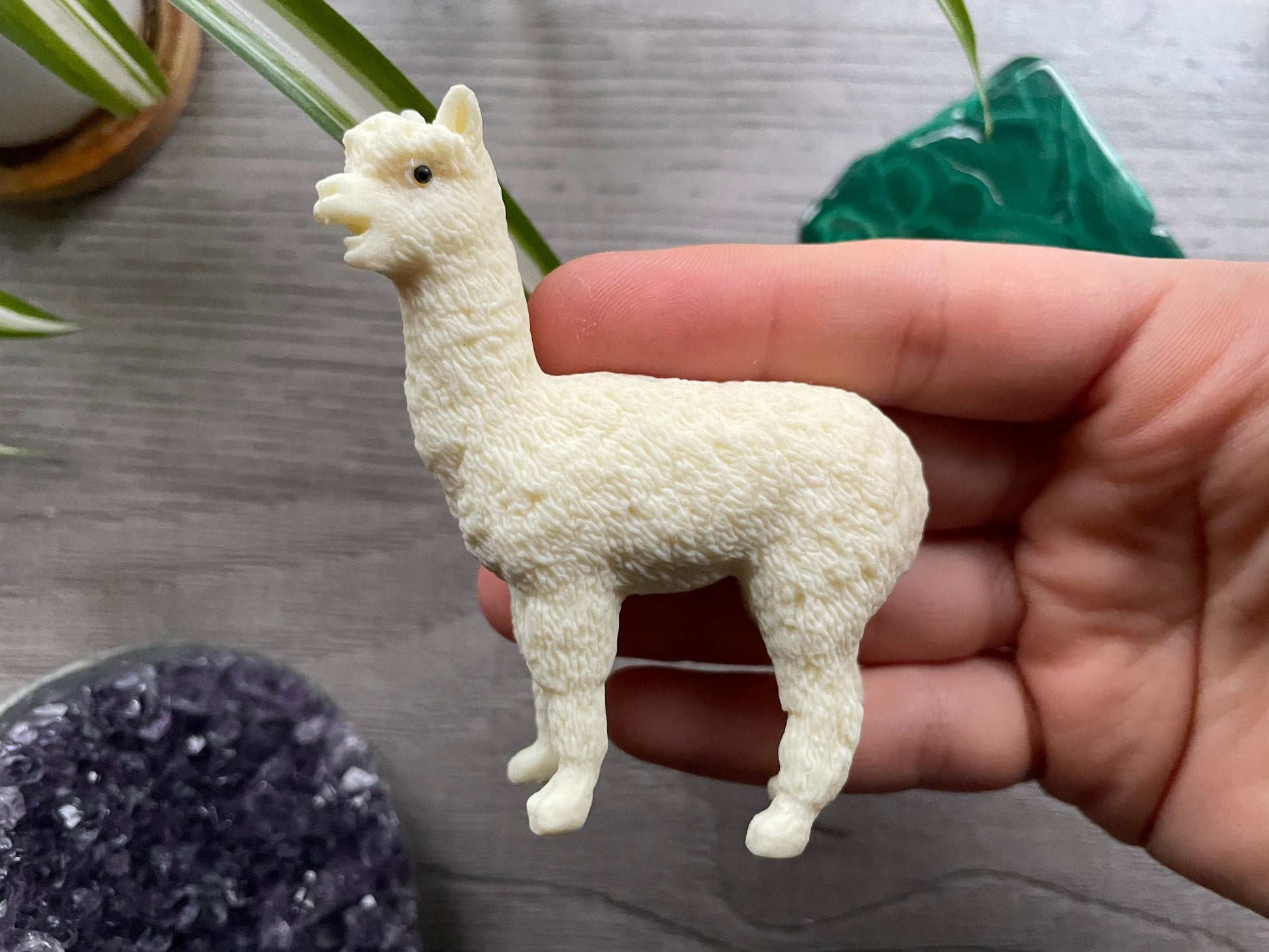 Tagua Nut Alpaca Carving side 2