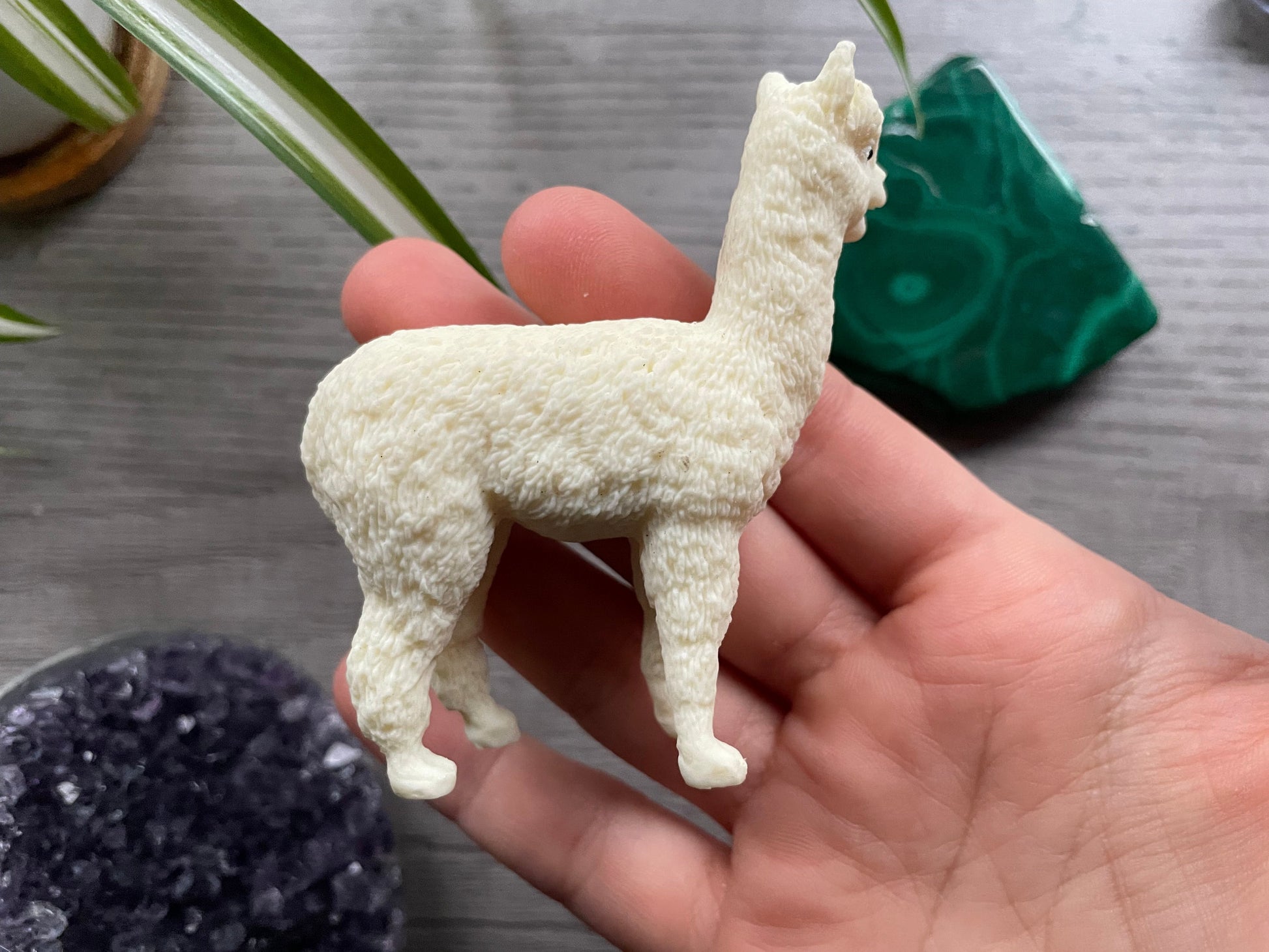 Tagua Nut Alpaca Carving back