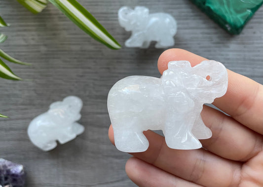 Quartz Elephant (5cm) Crystal Carving back