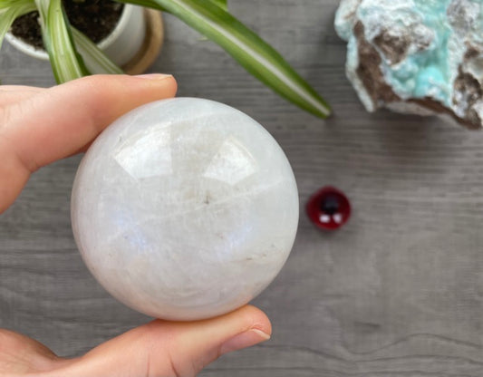 High-Grade White Moonstone Sphere 60mm - The Wandering Fox Emporium, Your Crystal Store