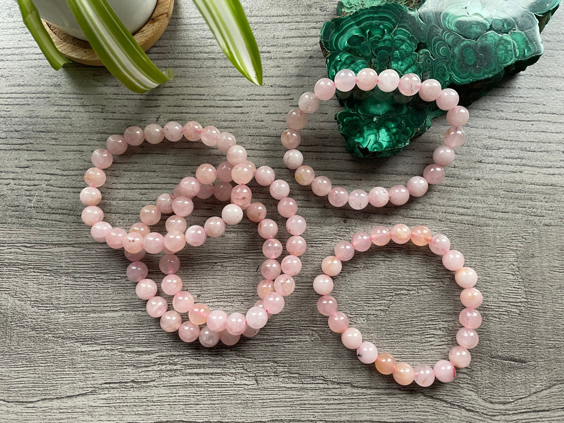 Rose Quartz Gemstone Bracelet 8mm - The Wandering Fox Emporium, Your Crystal Store