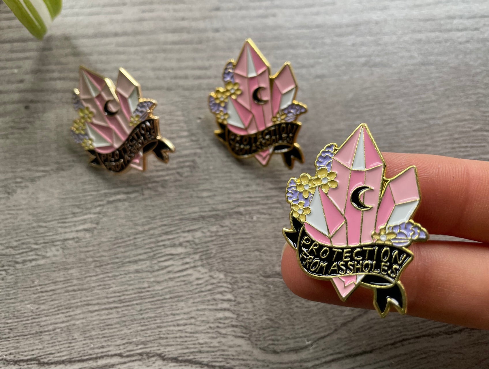 "Protection From Assholes" Enamel Pin close up