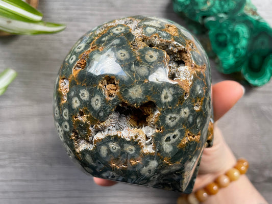 Pictured is a large skull carved out of ocean jasper or river jasper. Ocean Jasper Crystal Skull .95kg - The Wandering Fox Emporium, Your Metaphysical Store