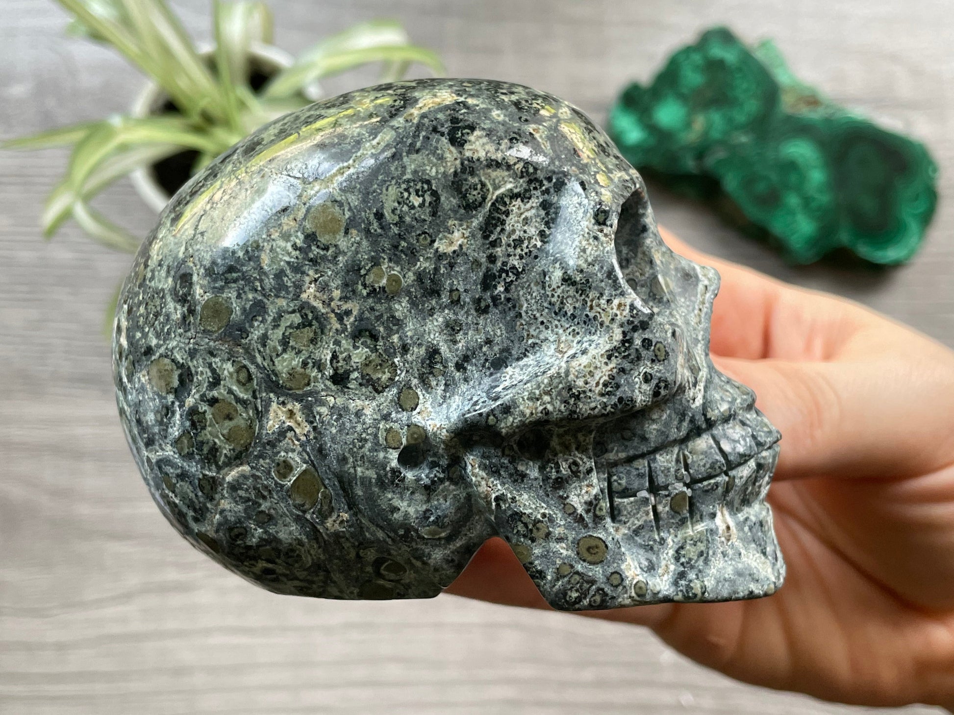 Kambaba Jasper Crystal Skull .55kg - The Wandering Fox Emporium, Your Metaphysical Store side