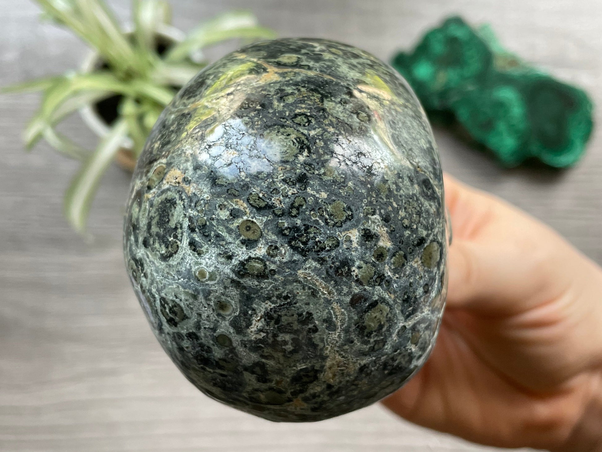 Kambaba Jasper Crystal Skull .55kg - The Wandering Fox Emporium, Your Metaphysical Store back