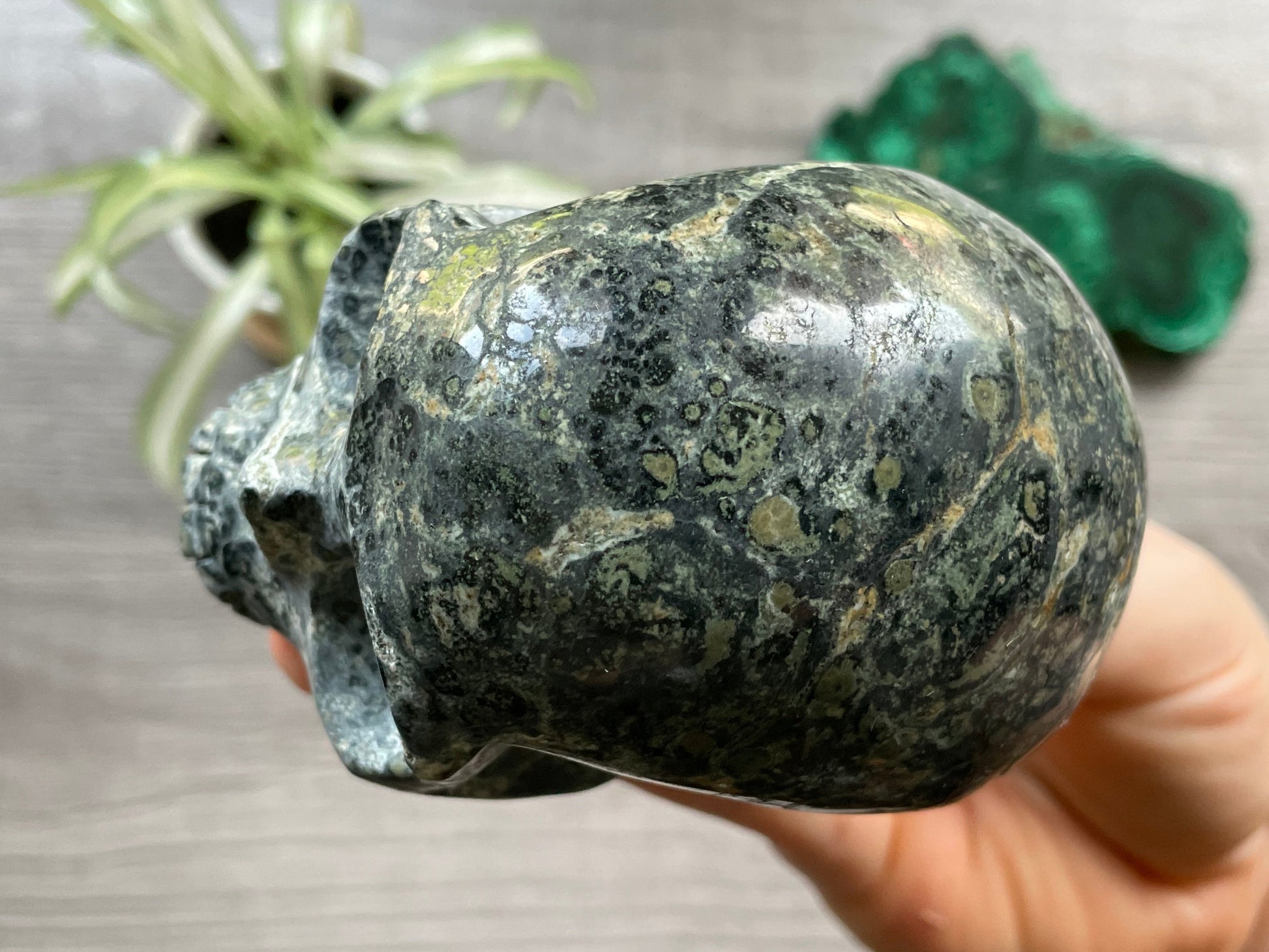 Kambaba Jasper Crystal Skull .55kg - The Wandering Fox Emporium, Your Metaphysical Store top