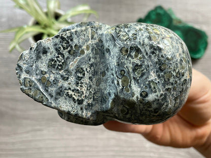 Kambaba Jasper Crystal Skull .55kg - The Wandering Fox Emporium, Your Metaphysical Store bottom