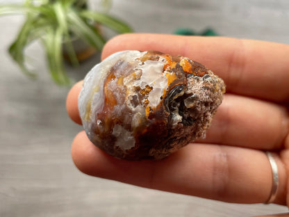 Natural Oco Geode Crystal - H bottom