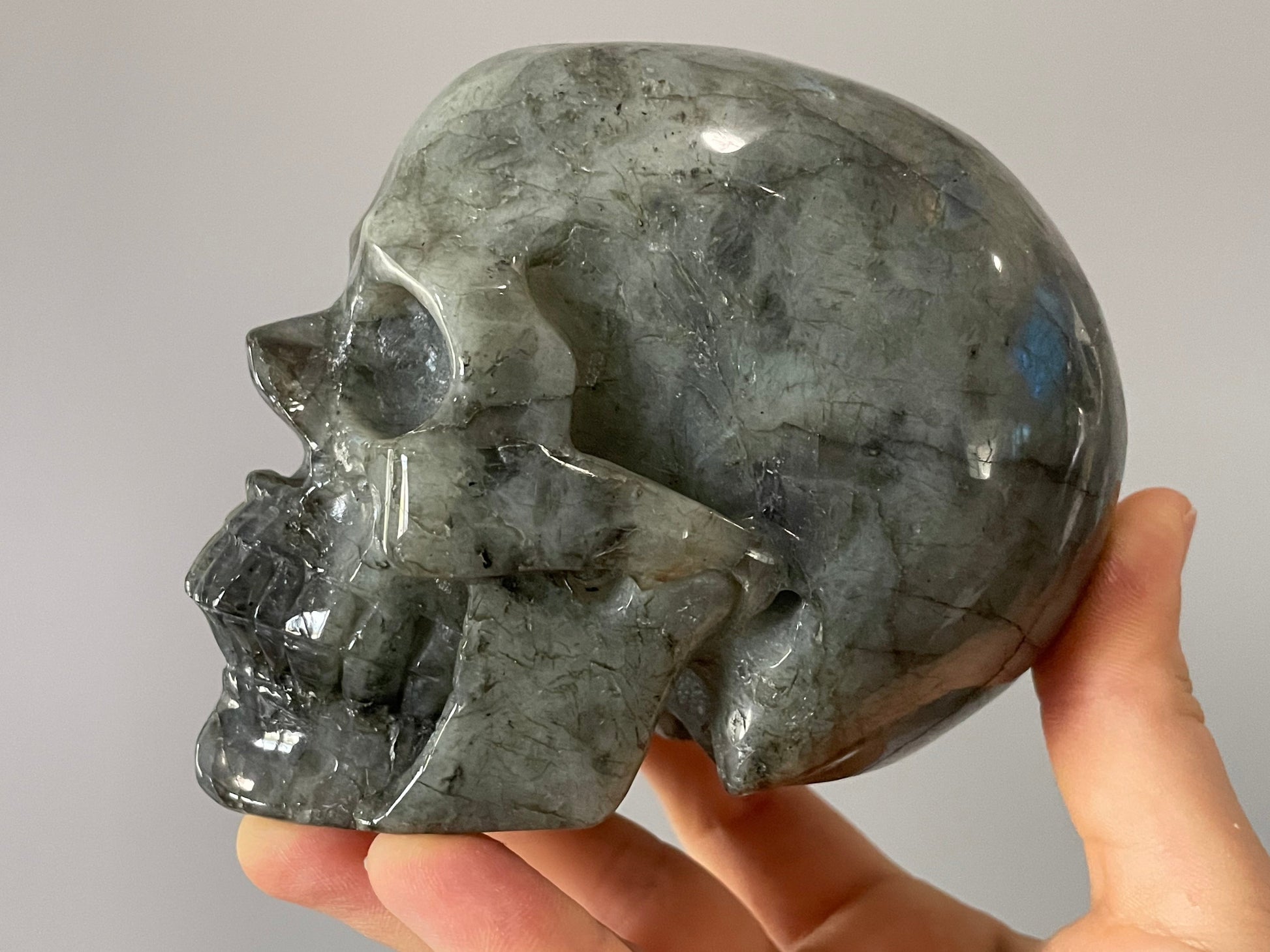 Labradorite Crystal Skull 1.15kg (Purple Rainbow) - The Wandering Fox Emporium, Your Metaphysical Store side