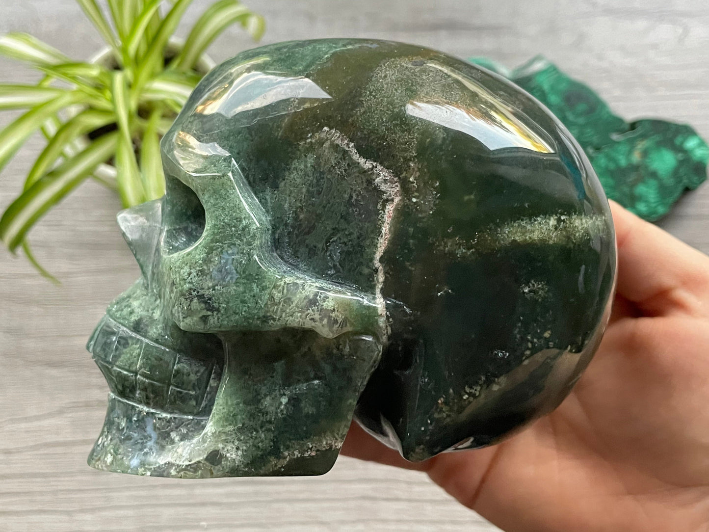 Moss Agate Crystal Skull with Druzy (1.3kg) - The Wandering Fox Emporium, Your Metaphysical Store side 