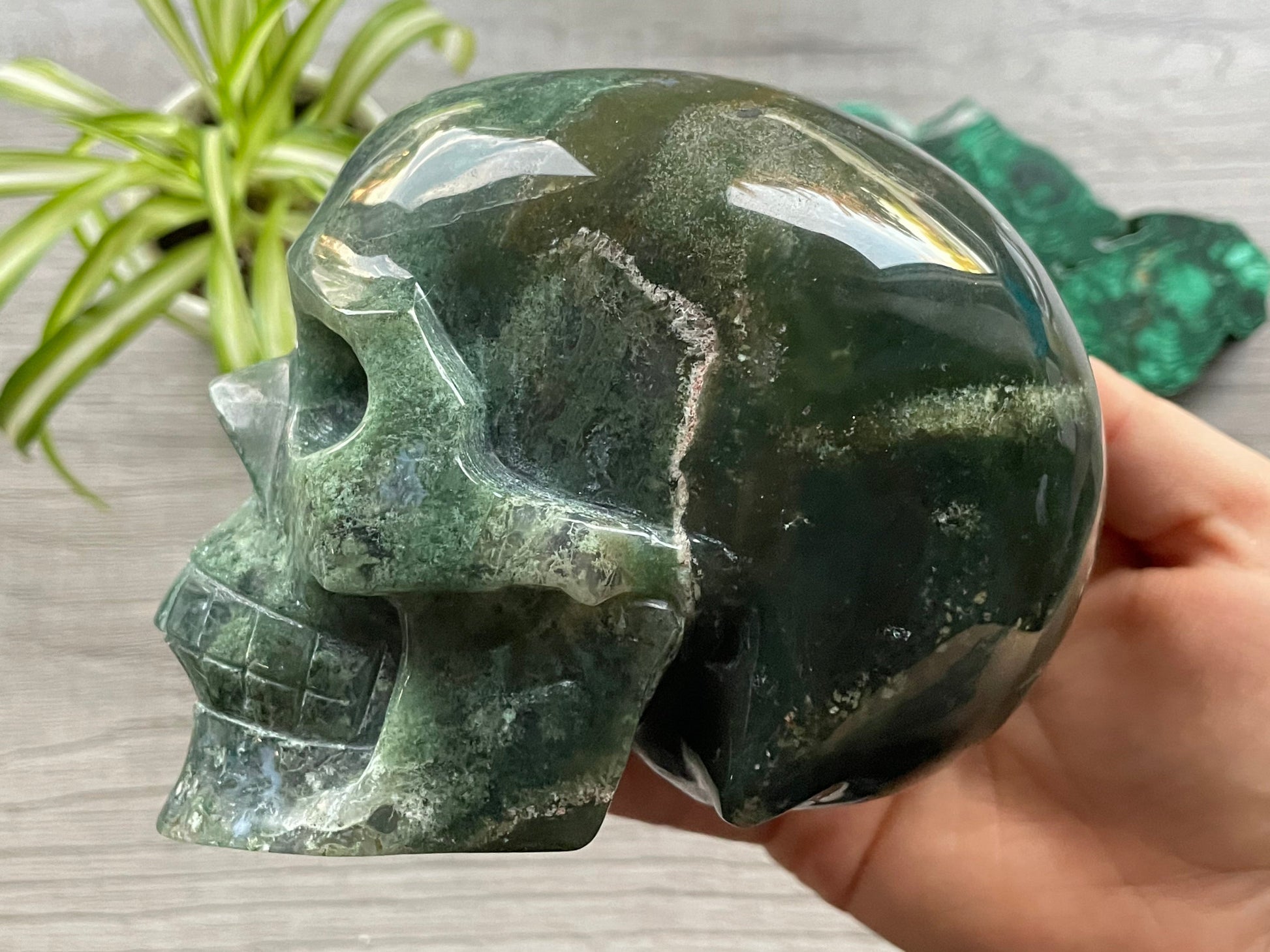 Moss Agate Crystal Skull with Druzy (1.3kg) - The Wandering Fox Emporium, Your Metaphysical Store side 