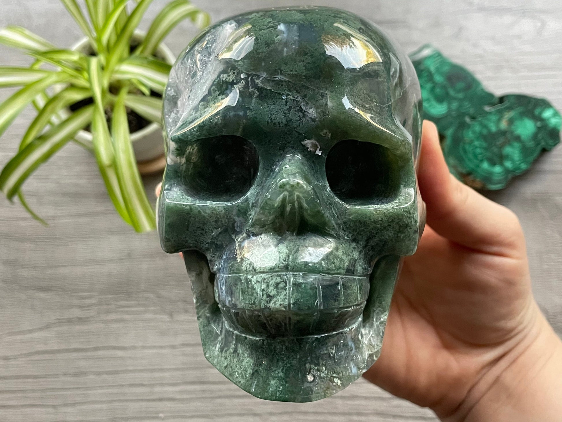 Moss Agate Crystal Skull with Druzy (1.3kg) - The Wandering Fox Emporium, Your Metaphysical Store front