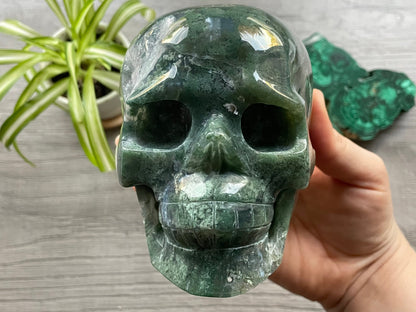 Moss Agate Crystal Skull with Druzy (1.3kg) - The Wandering Fox Emporium, Your Metaphysical Store front