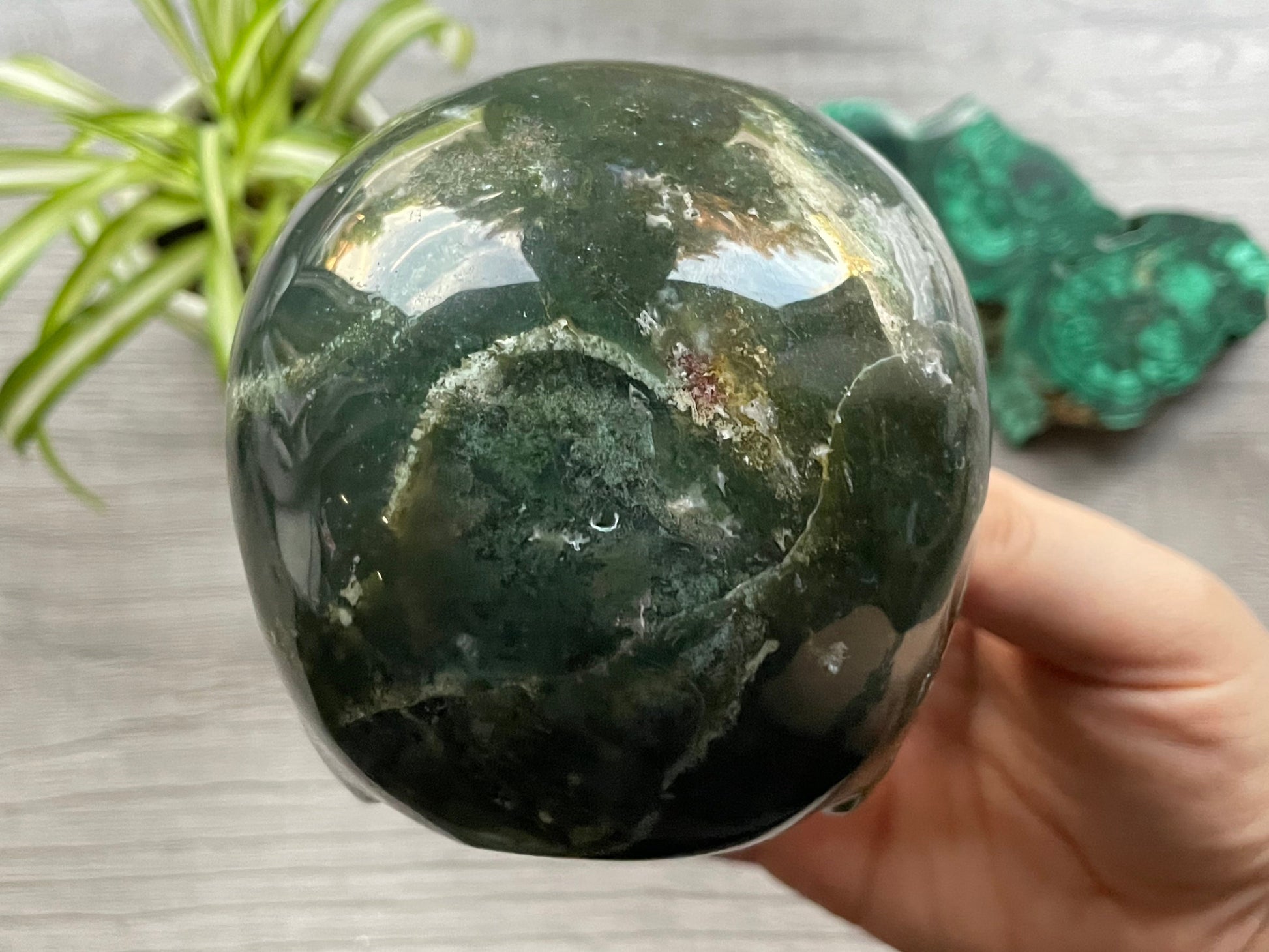 Moss Agate Crystal Skull with Druzy (1.3kg) - The Wandering Fox Emporium, Your Metaphysical Store back