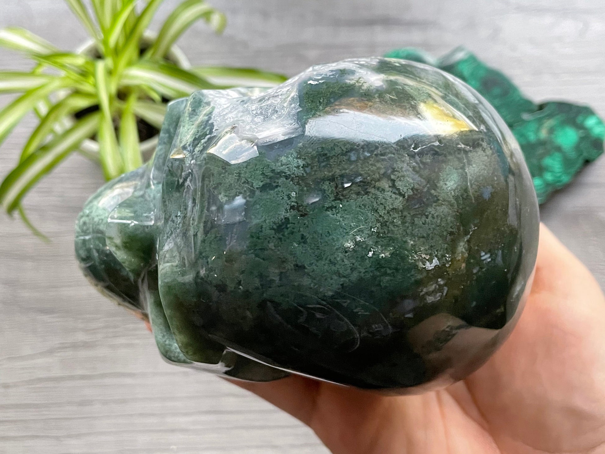 Moss Agate Crystal Skull with Druzy (1.3kg) - The Wandering Fox Emporium, Your Metaphysical Store top