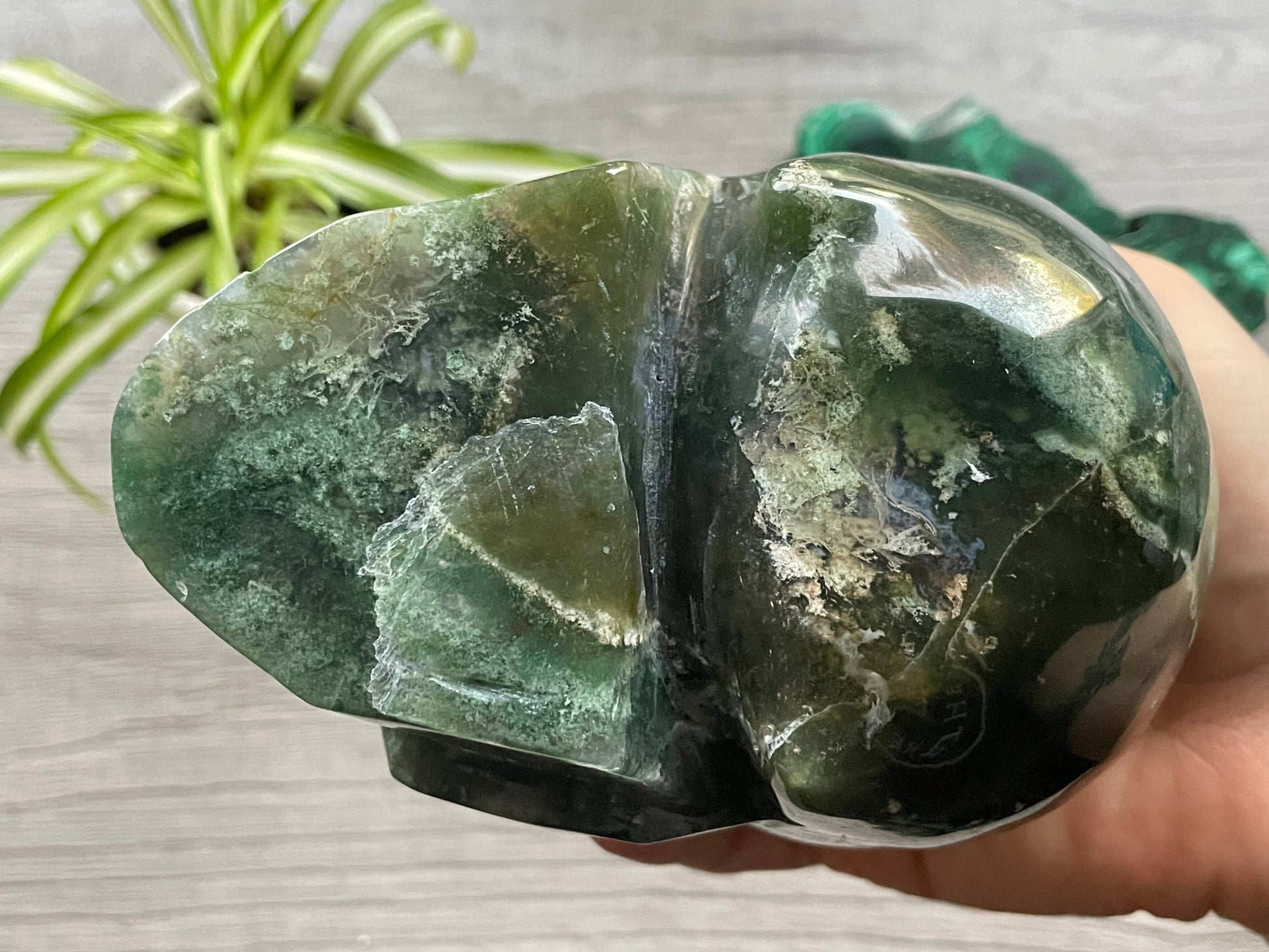 Moss Agate Crystal Skull with Druzy (1.3kg) - The Wandering Fox Emporium, Your Metaphysical Store bottom