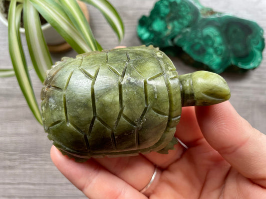 Xiuyan "Jade" Turtle (B) Crystal Carving top