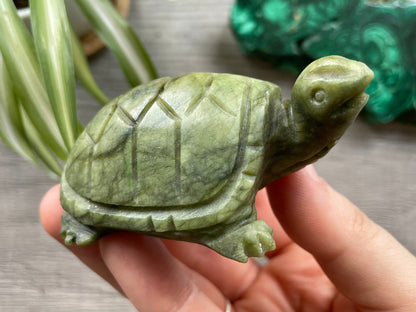 Xiuyan "Jade" Turtle (C) Crystal Carving