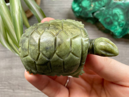 Xiuyan "Jade" Turtle (C) Crystal Carving top