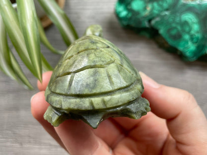 Xiuyan "Jade" Turtle (C) Crystal Carving back
