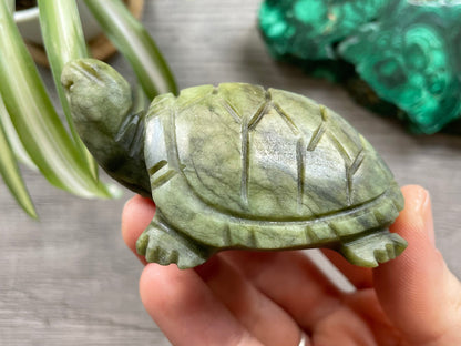 Xiuyan "Jade" Turtle (C) Crystal Carving side