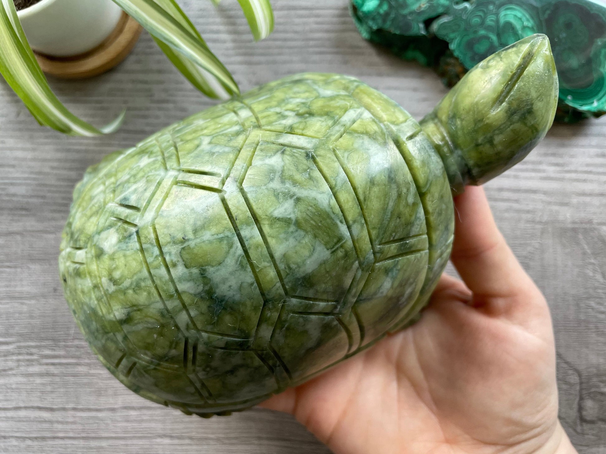 Xiuyan "Jade" Turtle 1.6kg Crystal Carving top