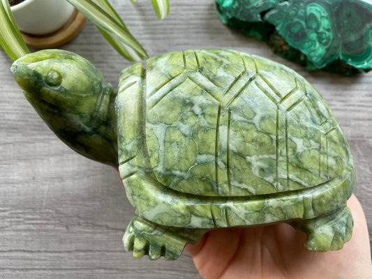 Xiuyan "Jade" Turtle 1.6kg Crystal Carving side