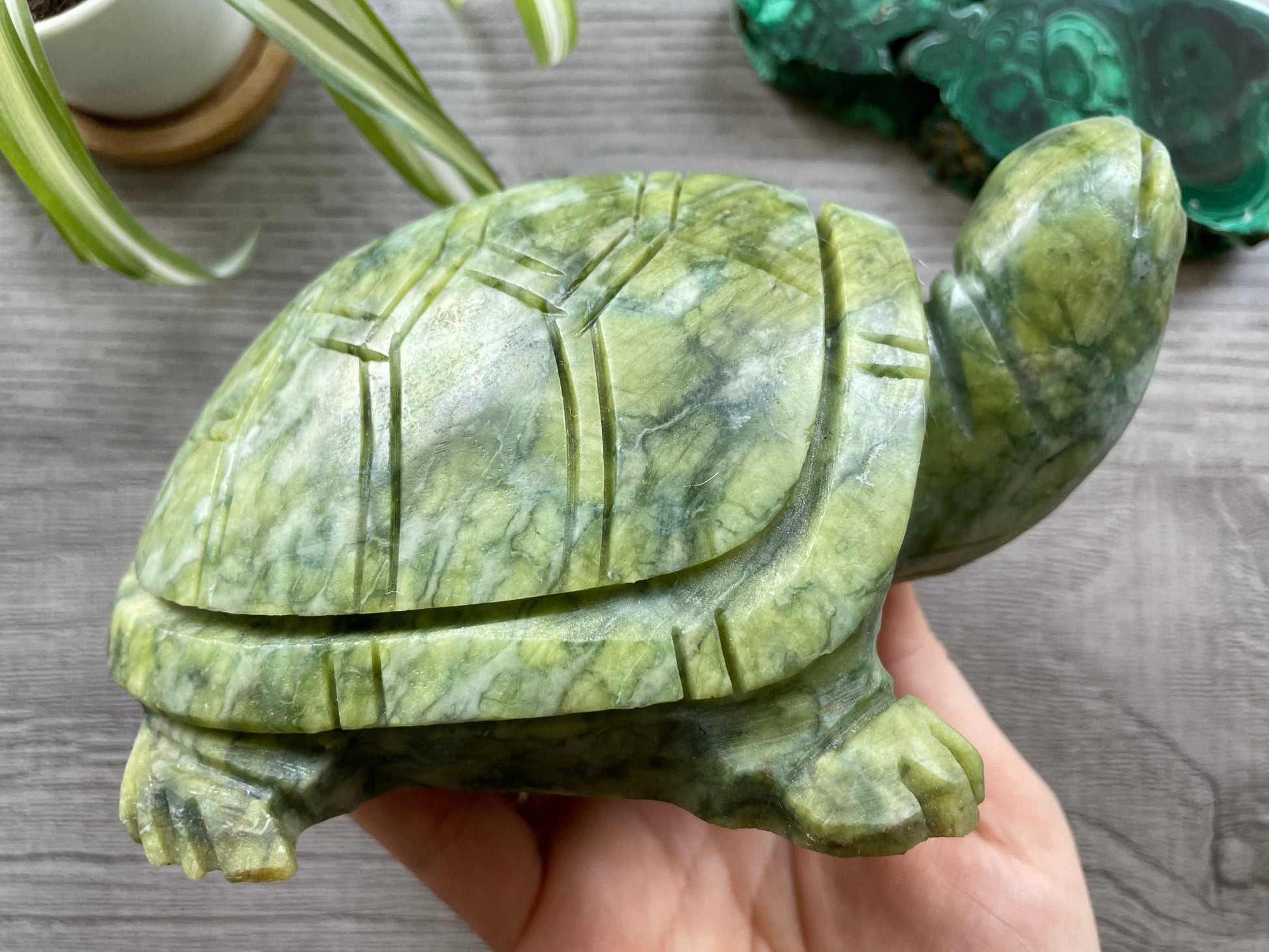 Xiuyan "Jade" Turtle 1.6kg Crystal Carving side 2